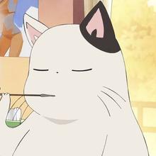Kotatsu-neko