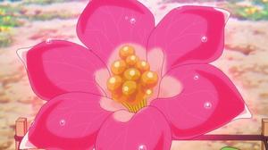 Pétales de fleurs d'amour et de courage — 47
