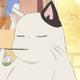 Kotatsu-neko